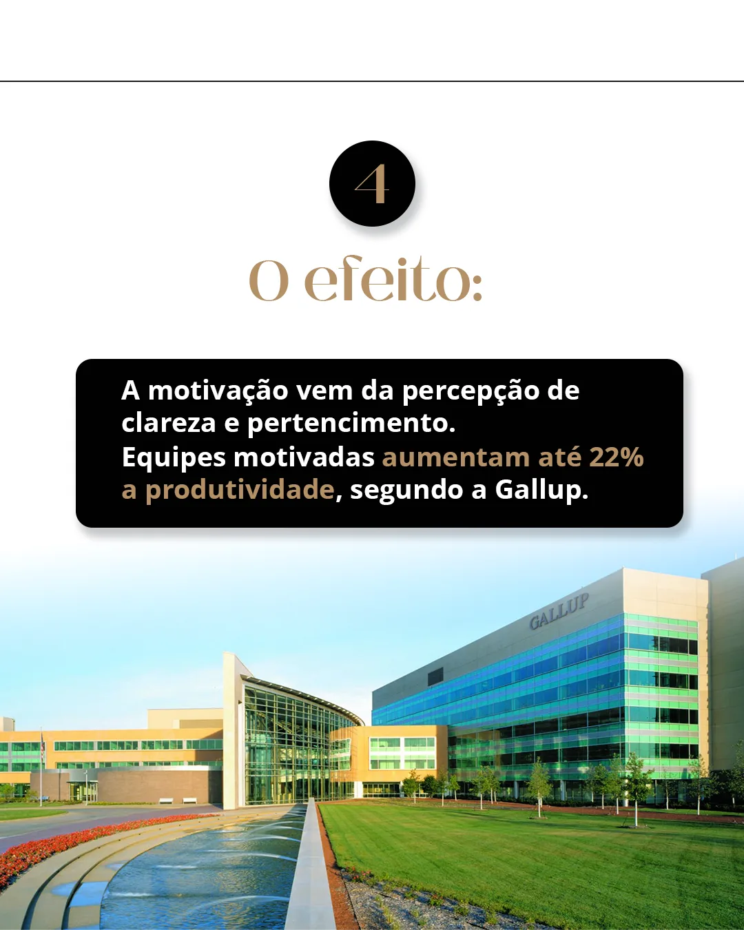Melque Dourado — carrossel 5, slide 1